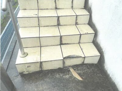 埼玉県比企郡嵐山町 武蔵嵐山駅11分 戸建て 660万円の競売物件情報 #14