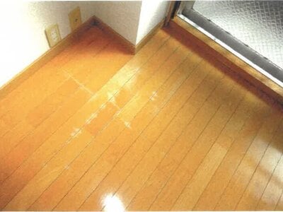 愛知県名古屋市南区 柴田駅4分 戸建て 2,603万円の競売物件情報 #9