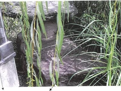 (値下げ) 鹿児島県鹿児島市 高見橋駅 戸建て 283万円の競売物件情報 #7