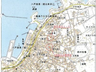 青森県八戸市 鮫駅10分 土地 136万円の競売物件情報 #11