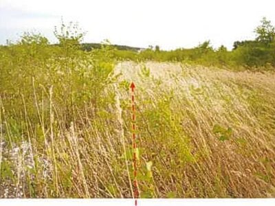 青森県上北郡六ヶ所村 土地 146万円の競売物件情報 #2