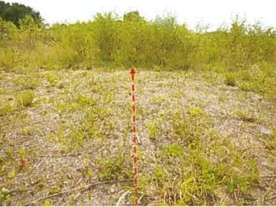 青森県上北郡六ヶ所村 土地 269万円の競売物件情報 #2
