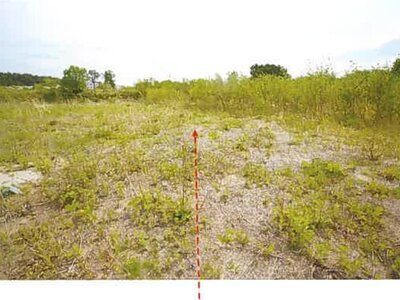 青森県上北郡六ヶ所村 土地 269万円の競売物件情報 #3