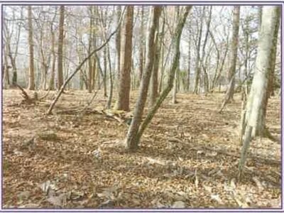 山梨県南都留郡山中湖村 土地 823万円の競売物件情報 #1