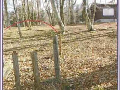 山梨県南都留郡山中湖村 土地 823万円の競売物件情報 #4