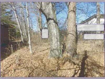 山梨県南都留郡山中湖村 土地 794万円の競売物件情報 #4