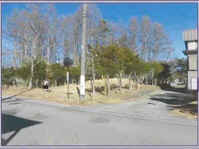 山梨県南都留郡山中湖村 富士山駅 土地 772万円の競売物件情報 #2