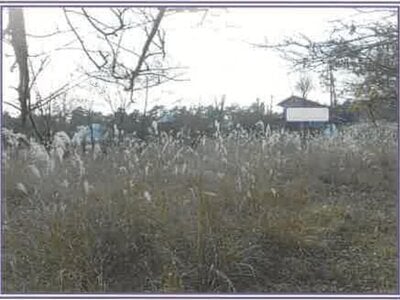 山梨県南都留郡山中湖村 富士山駅 土地 527万円の競売物件情報 #4