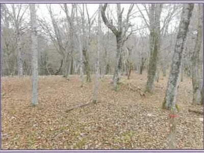 山梨県南都留郡山中湖村 土地 1,475万円の競売物件情報 #3