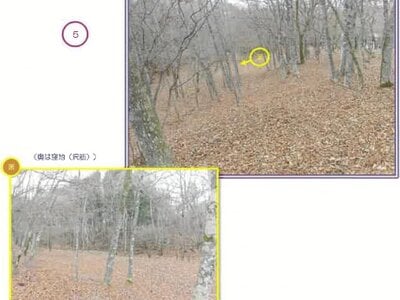 山梨県南都留郡山中湖村 土地 1,475万円の競売物件情報 #6