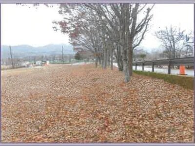 山梨県南都留郡山中湖村 土地 2,790万円の競売物件情報 #6