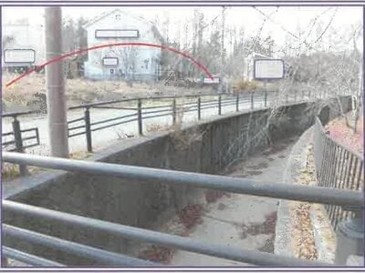 山梨県南都留郡山中湖村 富士山駅 土地 490万円の競売物件情報 #10