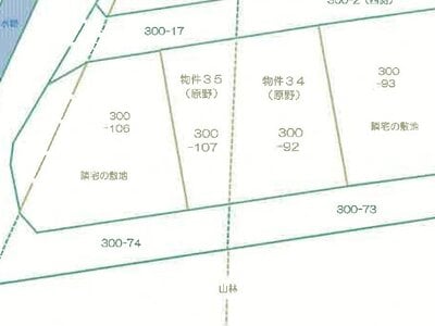 山梨県南都留郡山中湖村 富士山駅 土地 490万円の競売物件情報 #2
