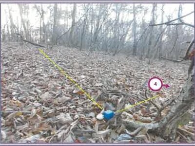 山梨県南都留郡山中湖村 土地 24万円の競売物件情報 #2