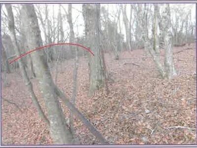 山梨県南都留郡山中湖村 土地 24万円の競売物件情報 #6