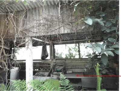 鹿児島県肝属郡錦江町 戸建て 312万円の競売物件情報 #22