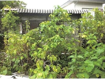 鹿児島県肝属郡錦江町 戸建て 312万円の競売物件情報 #4