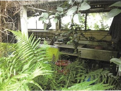 鹿児島県肝属郡錦江町 戸建て 312万円の競売物件情報 #7