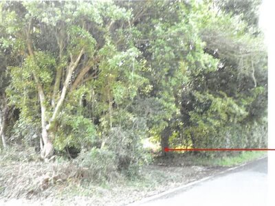(値下げ) 鹿児島県肝属郡肝付町 戸建て 78万円の競売物件情報 #19