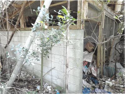 (値下げ) 鹿児島県肝属郡肝付町 戸建て 78万円の競売物件情報 #24