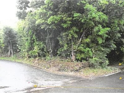 (値下げ) 鹿児島県肝属郡肝付町 戸建て 78万円の競売物件情報 #3