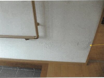 鹿児島県志布志市 志布志駅 戸建て 594万円の競売物件情報 #6