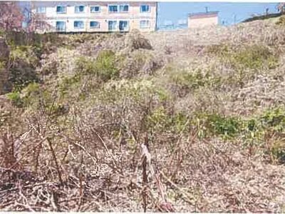 北海道函館市 湯の川駅18分 土地 144万円の競売物件情報 #4