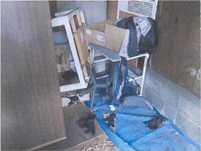 (値下げ) 広島県呉市 呉駅29分 戸建て 294万円の競売物件情報 #21