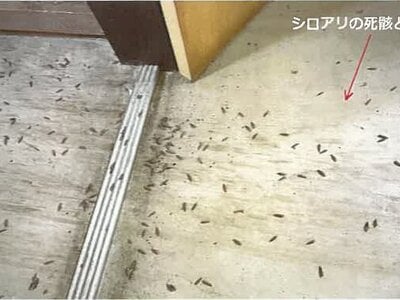 佐賀県鹿島市 肥前鹿島駅 戸建て 1,369万円の競売物件情報 #21