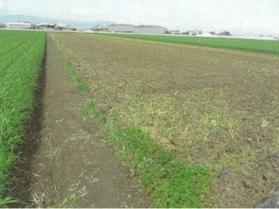 佐賀県神埼市 伊賀屋駅 農地 31万円の競売物件情報 #5
