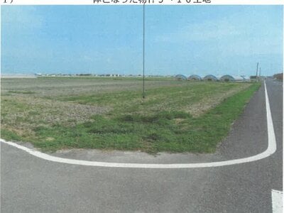 佐賀県神埼市 伊賀屋駅 農地 37万円の競売物件情報 #1