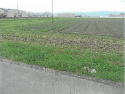 佐賀県神埼市 伊賀屋駅 農地 37万円の競売物件情報 #6