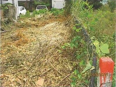 静岡県下田市 伊豆急下田駅12分 戸建て 1,028万円の競売物件情報 #15