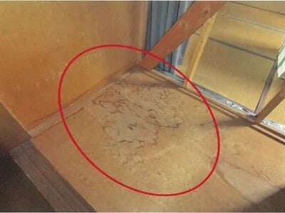 兵庫県姫路市 野里駅19分 戸建て 211万円の競売物件情報 #14