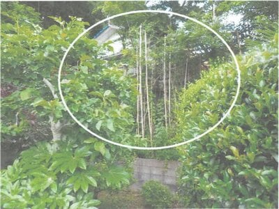 (値下げ) 茨城県潮来市 潮来駅12分 戸建て 662万円の競売物件情報 #2