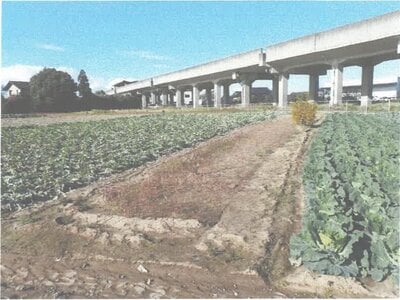 (値下げ) 茨城県水戸市 東水戸駅2分 農地 4万円の競売物件情報 #1
