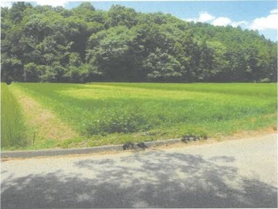 茨城県常陸太田市 常陸太田駅 農地 34万円の競売物件情報 #1