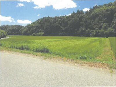 茨城県常陸太田市 常陸太田駅 農地 34万円の競売物件情報 #2