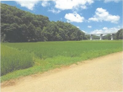 茨城県常陸太田市 常陸太田駅 農地 65万円の競売物件情報 #1