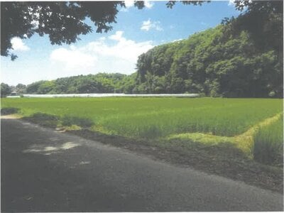 茨城県常陸太田市 常陸太田駅 農地 65万円の競売物件情報 #2