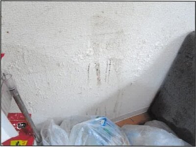 神奈川県横浜市鶴見区 大口駅16分 マンション「エミグラント東寺尾」1,235万円の競売物件情報 #6