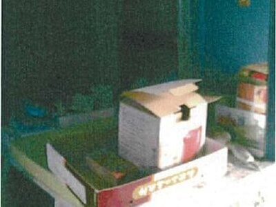 愛媛県南宇和郡愛南町 戸建て 245万円の競売物件情報 #36