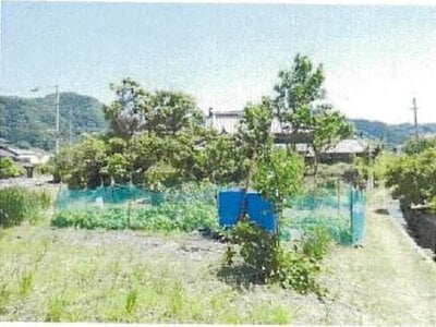 愛媛県今治市 大西駅25分 農地 59万円の競売物件情報 #5