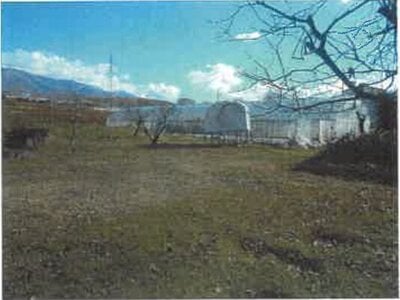 長野県東御市 田中駅14分 農地 37万円の競売物件情報 #2