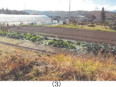 長野県東御市 田中駅14分 農地 37万円の競売物件情報 #5