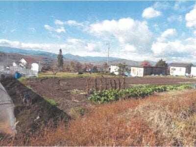 長野県東御市 田中駅14分 農地 37万円の競売物件情報 #6