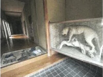 (値下げ) 香川県綾歌郡綾川町 羽床駅27分 戸建て 161万円の競売物件情報 #12