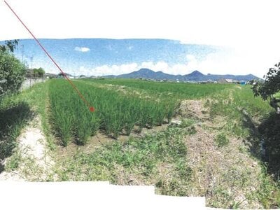 (値下げ) 香川県丸亀市 岡田駅16分 農地 34万円の競売物件情報 #4