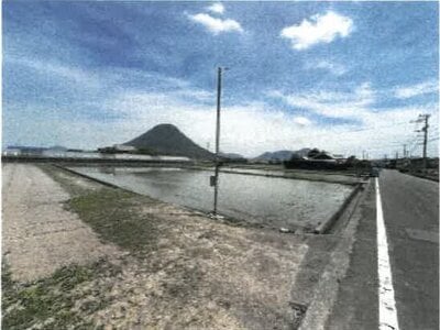 香川県丸亀市 岡田駅 農地 153万円の競売物件情報 #1