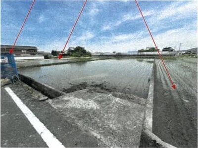 香川県丸亀市 岡田駅 農地 153万円の競売物件情報 #2